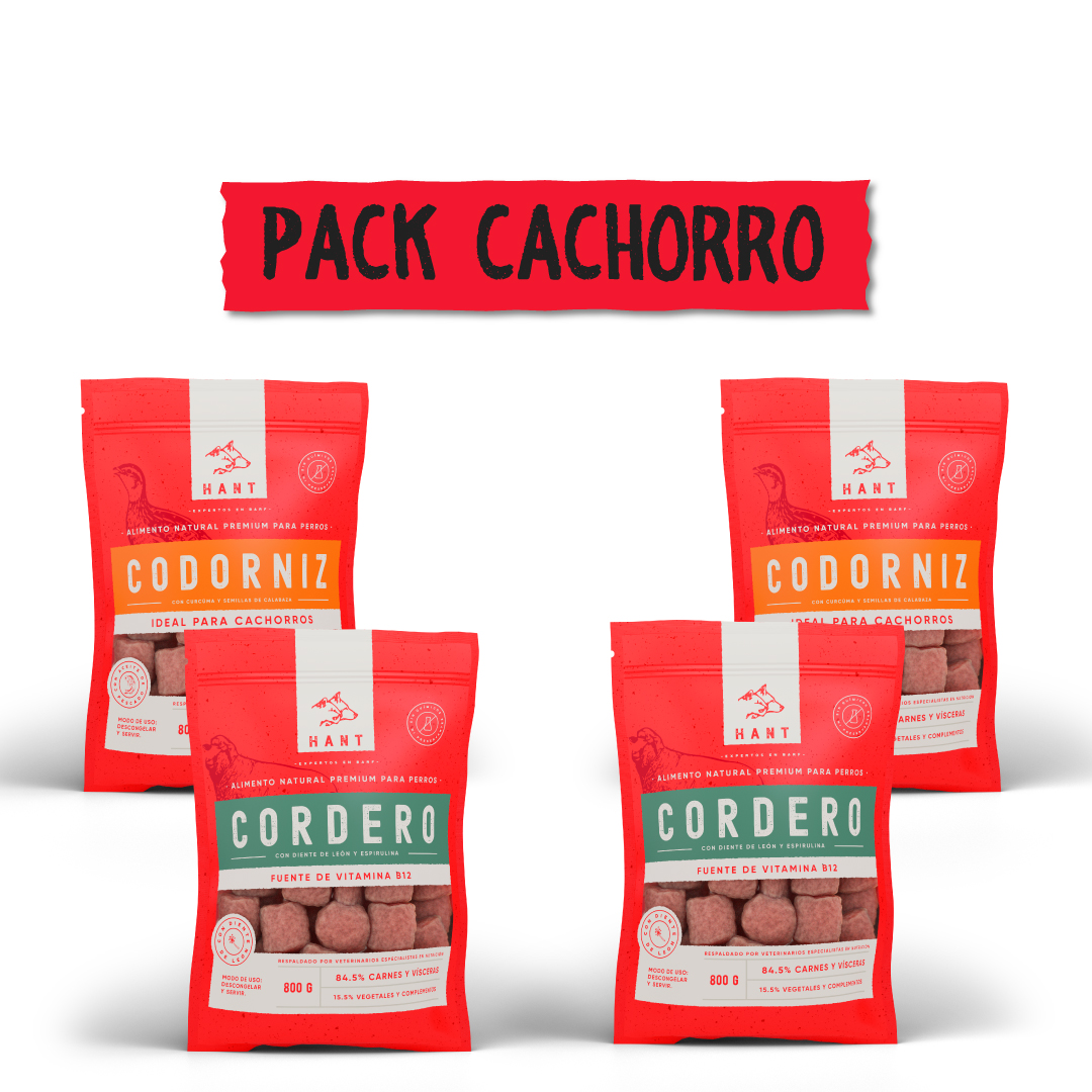 PACK-CACHORRO-ACTUALIZADO