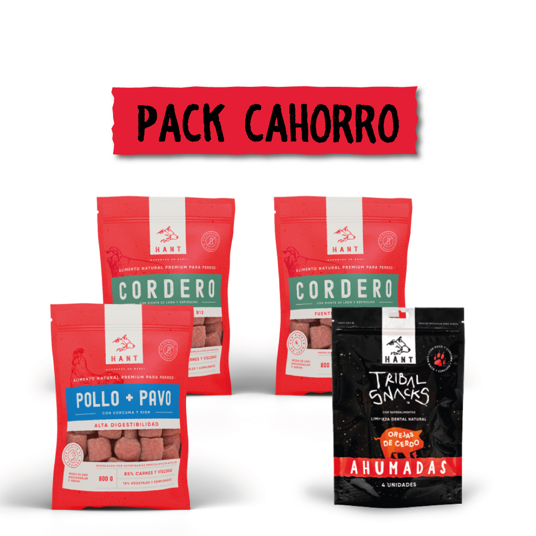 PACK-CACHORRO2