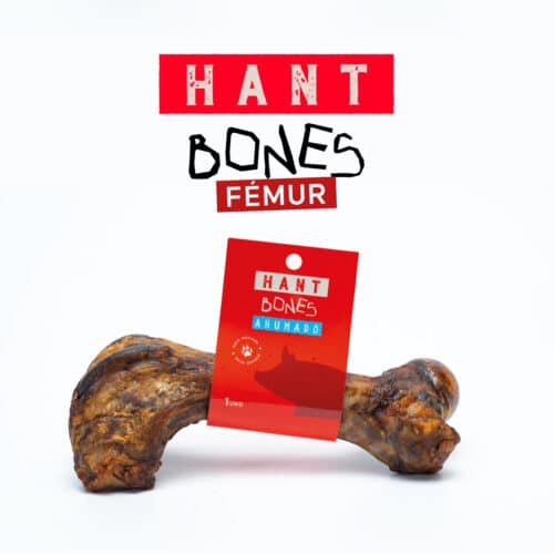 Hant Bones femur