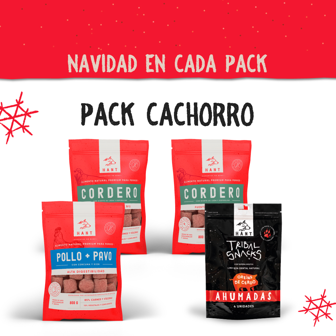 PACK-CACHORRO