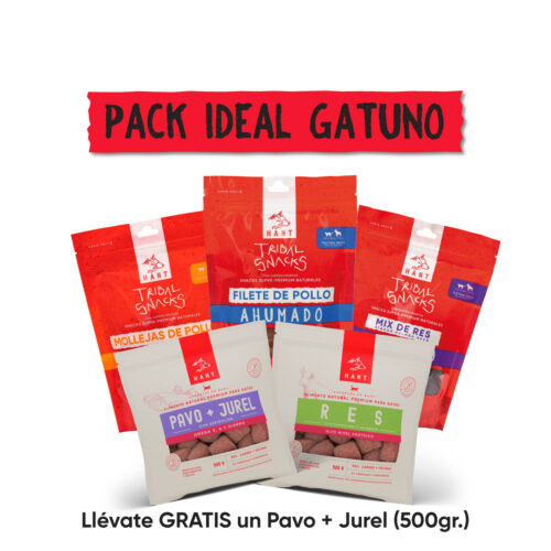 Pack ideal gatuno