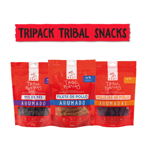 Tripack Tribal snacks