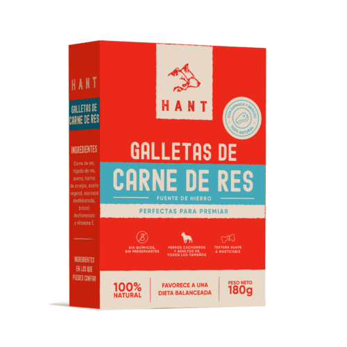 Carne de res